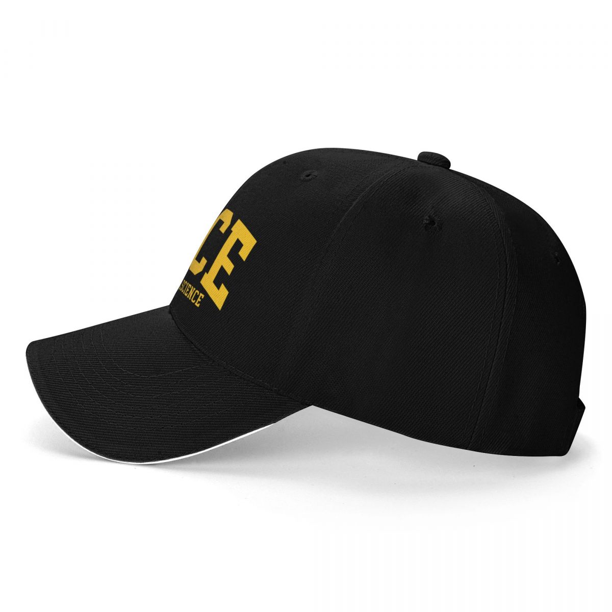 pace political science - colle - Streetwear Brand Fonts 리뷰 및 가격